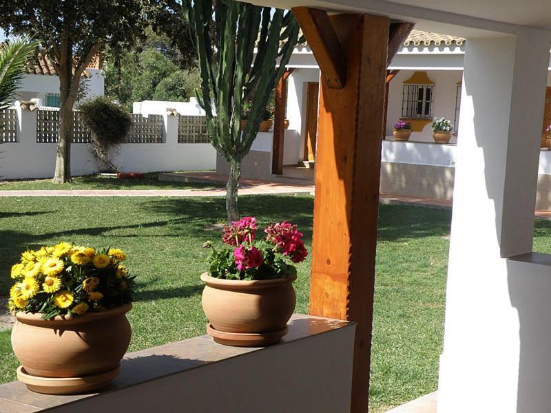 Hostal Las Acacias Los Canos De Meca Exterior photo